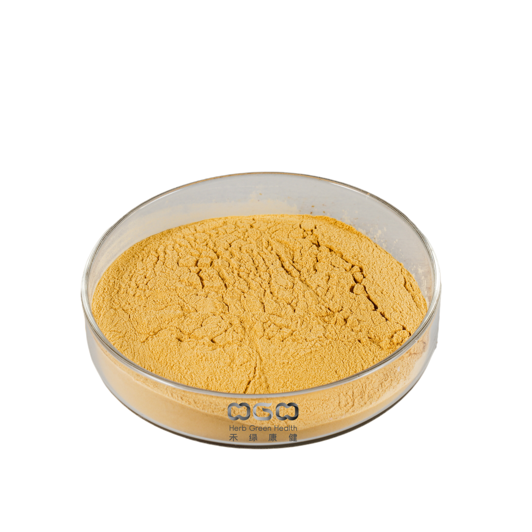 Zitronenmelisse-Extrakt Verhältnis 4:1 Rosmarinsäure 2-10% zur Förderung der Verdauung