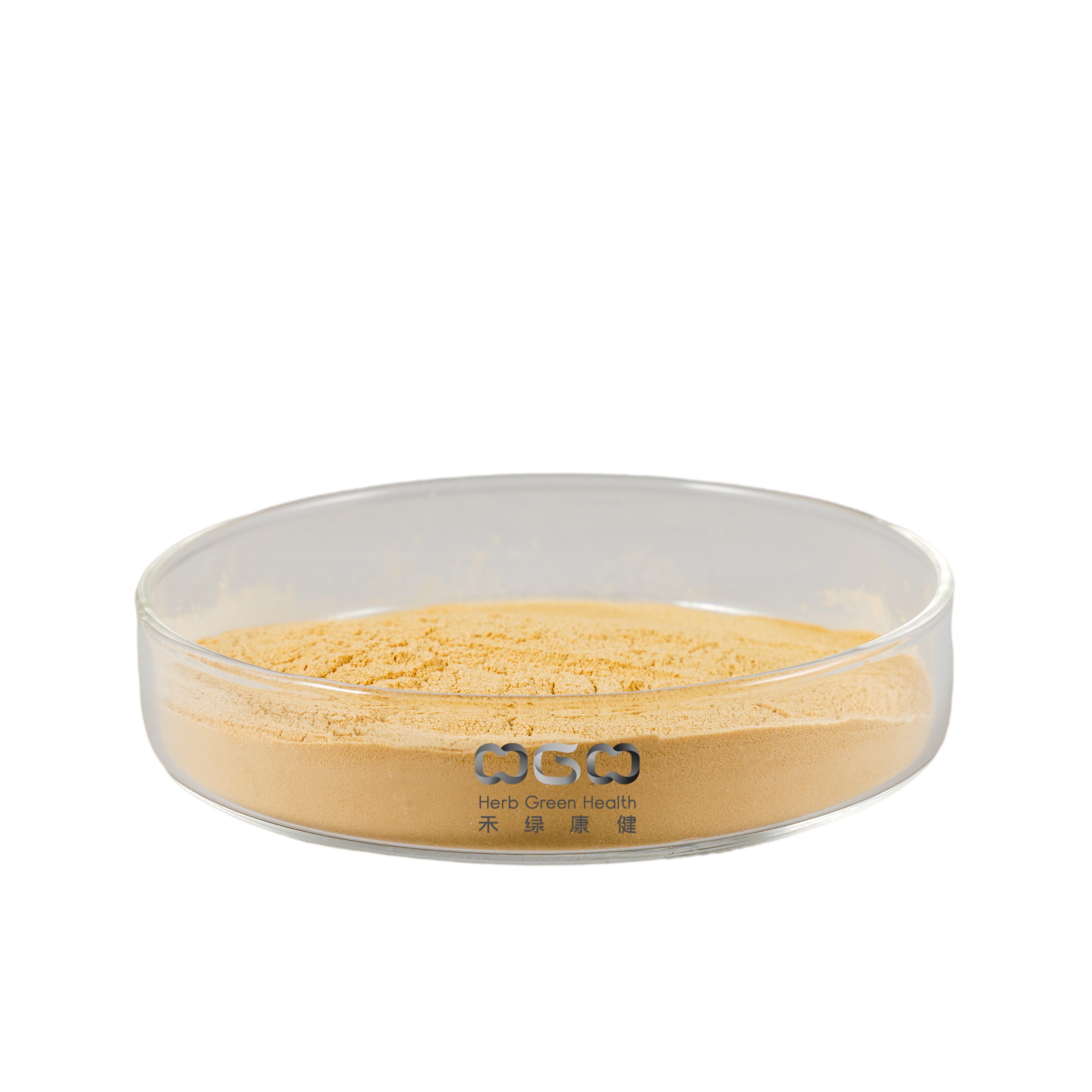 Polysaccharid 20 % amerikanisches Ginseng-Extrakt-Pulver für die Herzgesundheit