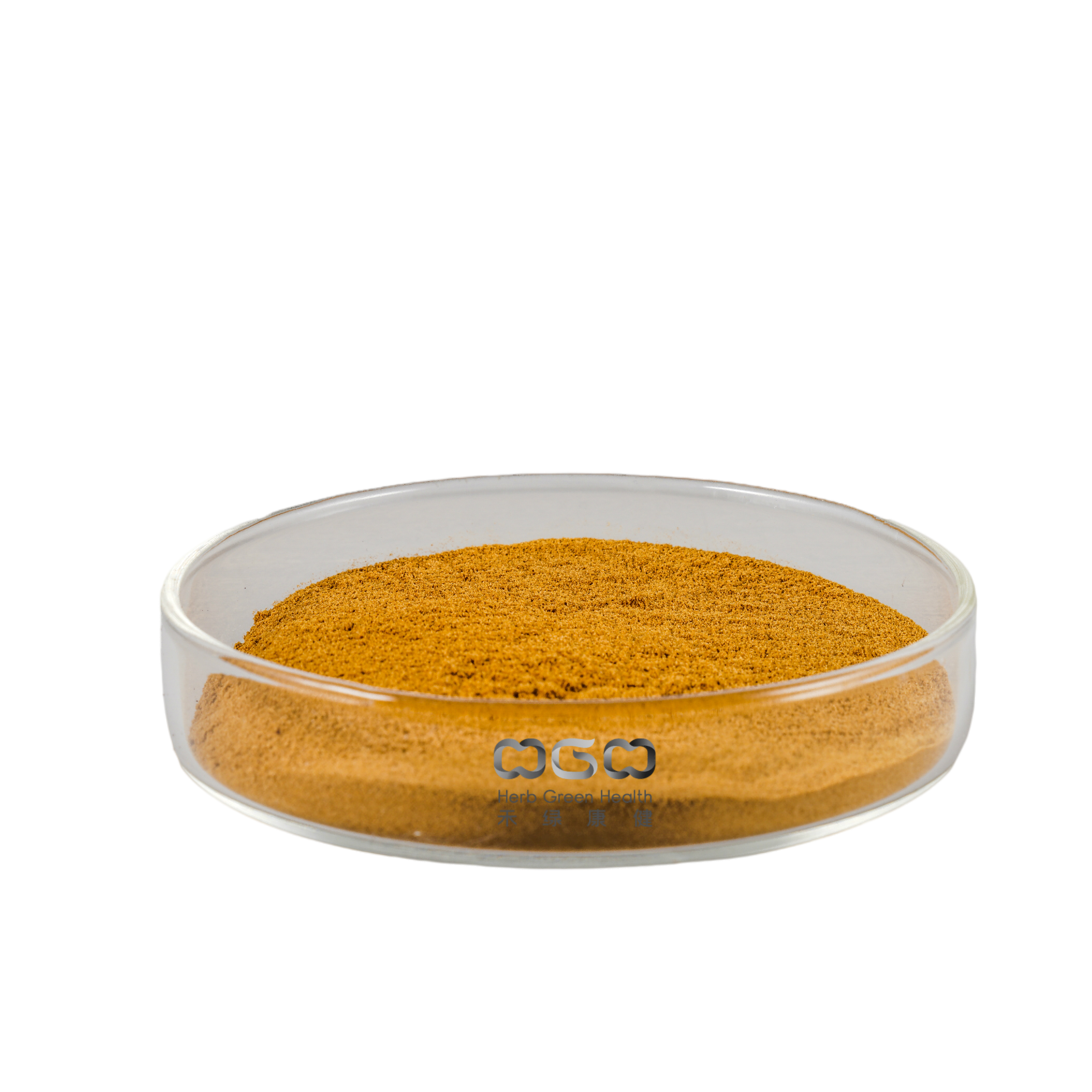 Cordyceps Militaris Powder Antioxidans Cordycepin zur Stärkung der Immunität
