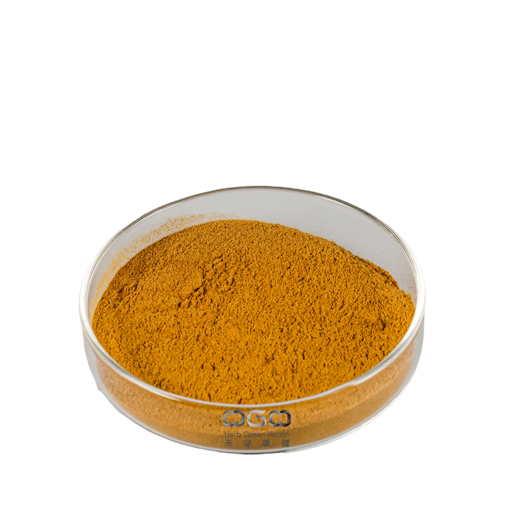 Panax Notoginseng (Tienchi) Extrakt Pulver Ginsenoside 5-80% Zur Hemmung der Thrombozytenaggregation 