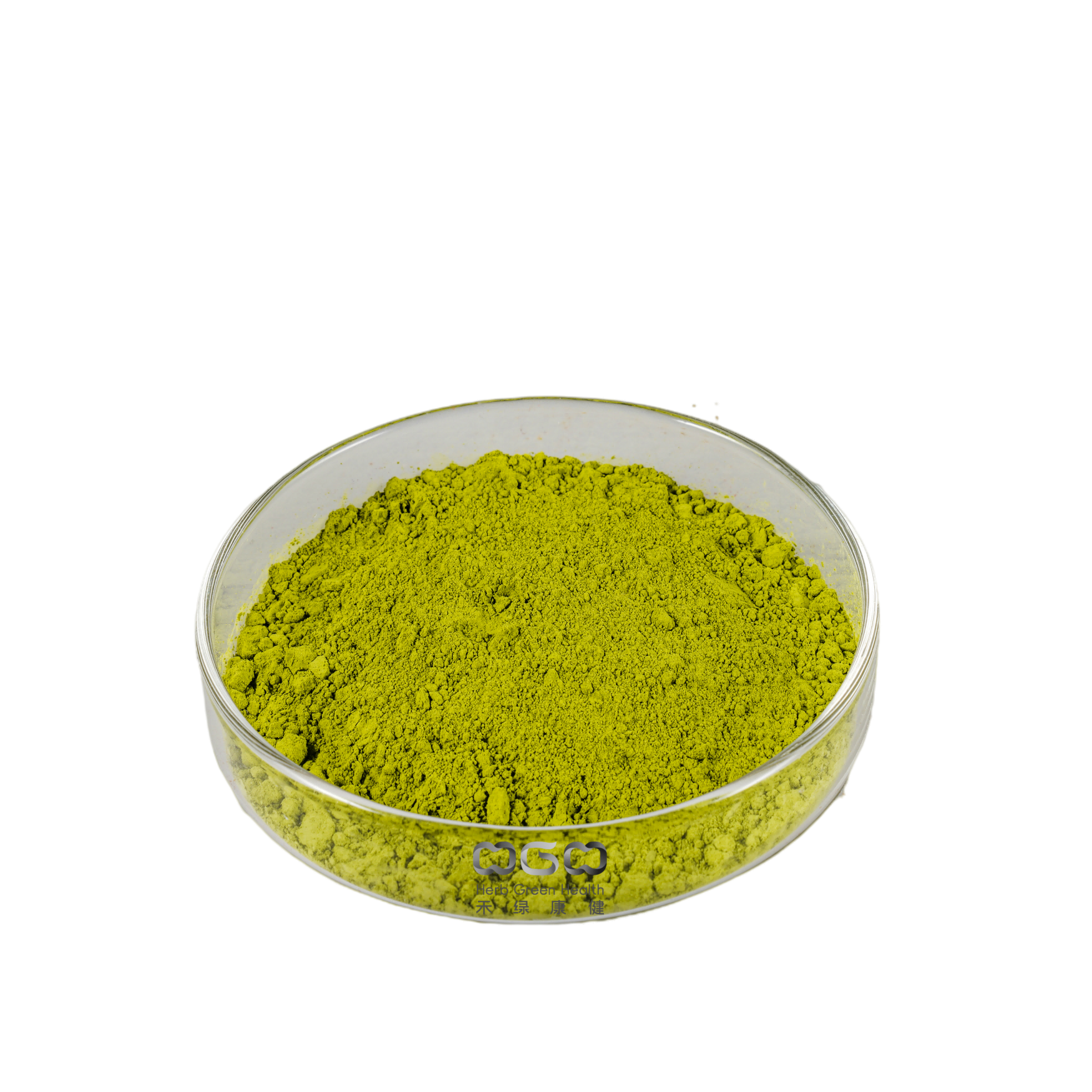 Herb Natural Kale Powder für Antioxidation